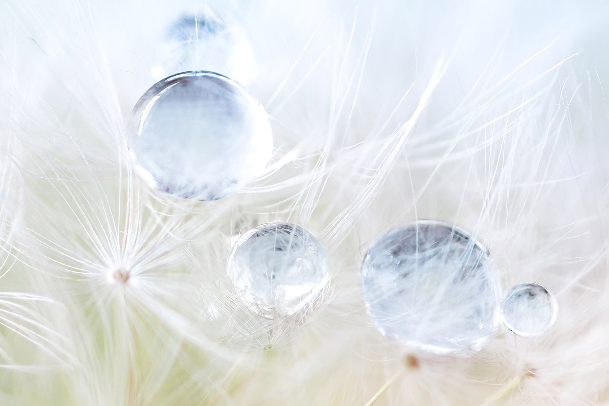 Multibanner