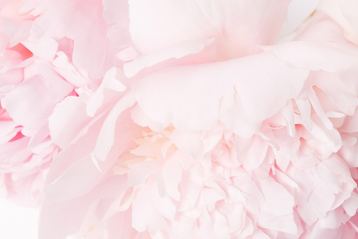 Multibanner